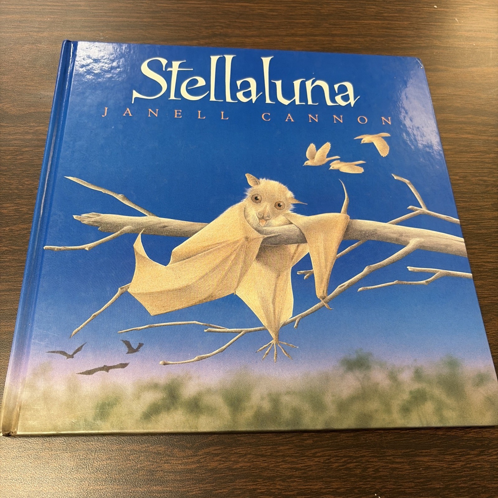 Stellaluna by Janell Cannon (1993, Hardcover)