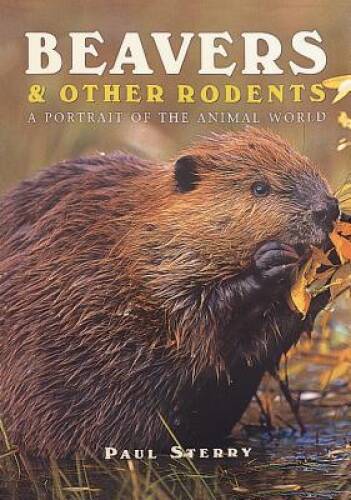 Beavers Other Rodents (Portrait of the Animal World) – Hardcover – GOOD