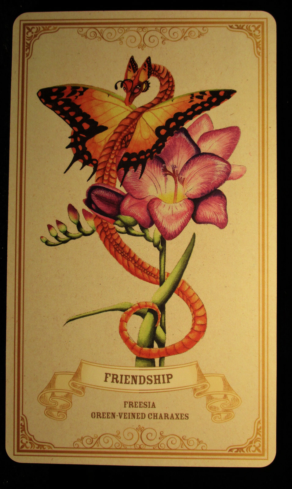 SEALED NEW ~ ENCHANTED BLOSSOMS CARDS & BOOK ORACLE DRAGONS BUTTERFLIES FLOWERS