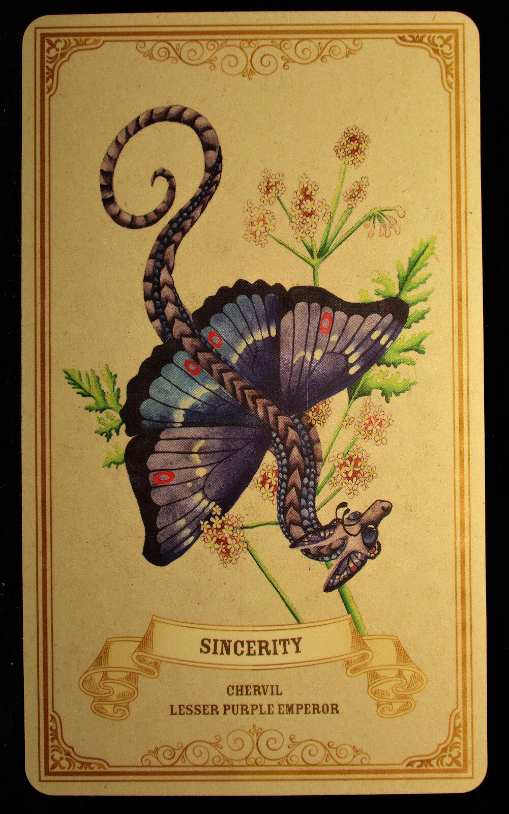 SEALED NEW ~ ENCHANTED BLOSSOMS CARDS & BOOK ORACLE DRAGONS BUTTERFLIES FLOWERS