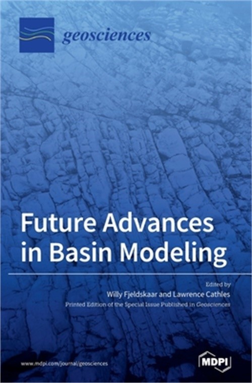 Future Advances in Basin Modeling: Suggestions from Current Observations, Analys