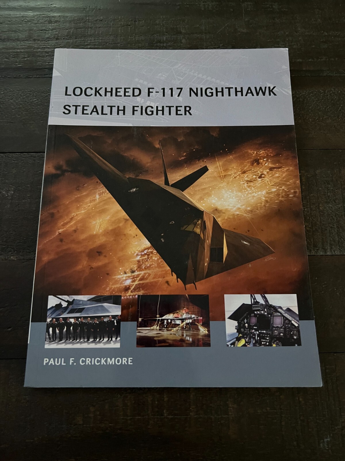 Osprey – Lockheed F-117 Nighthawk Stealth Fighter (Air Vanguard 16) Crickmore