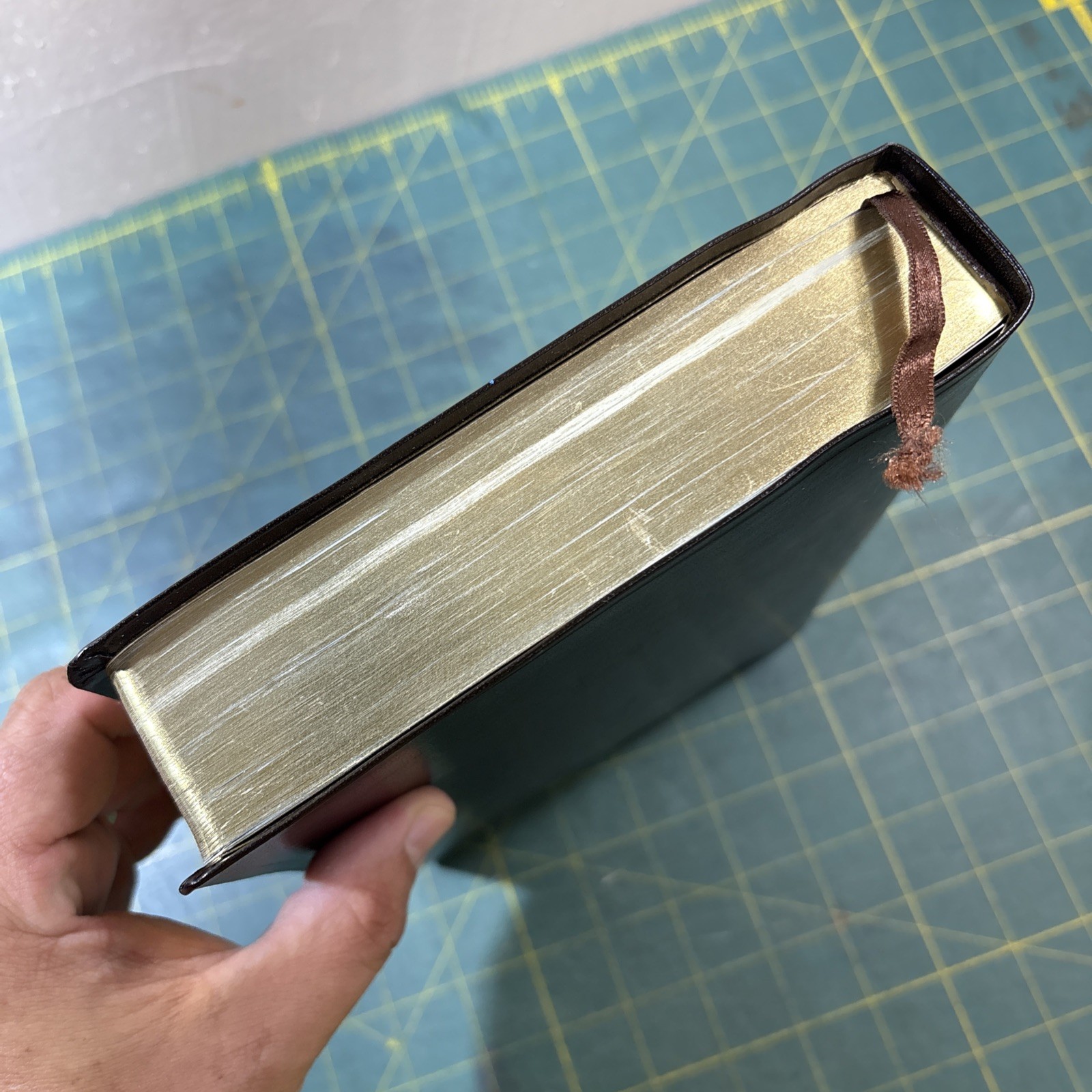 KJV 2013 Rainbow Study Bible Brown Bonded Leather