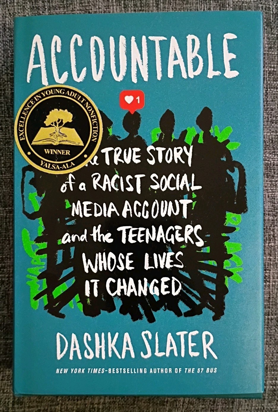 Accountable: The True Story of a Racist Social Media Account… by Dashka Slater