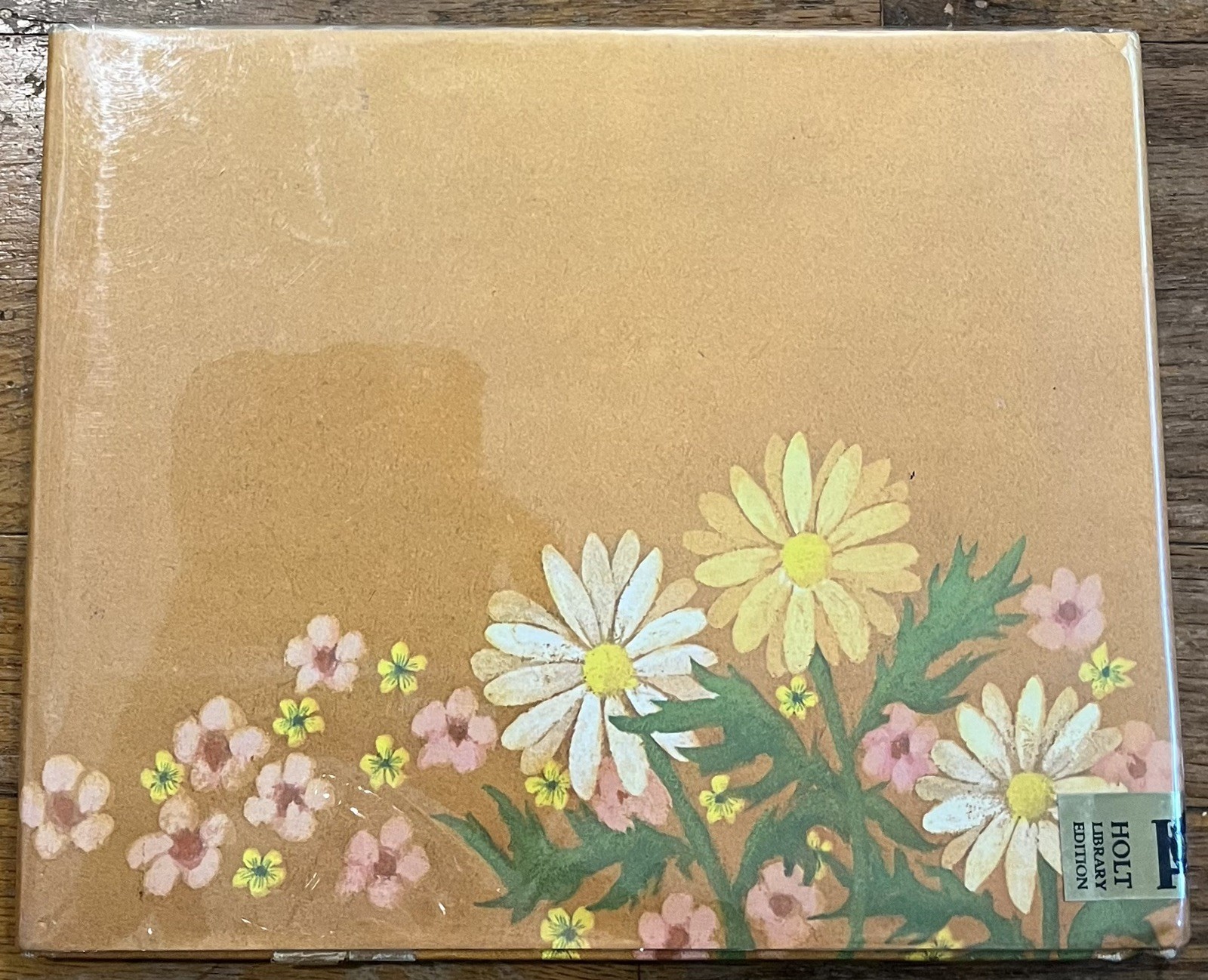COME ALONG! : by Rebecca Caudill : illus Ellen Raskin : hbdj : vintage