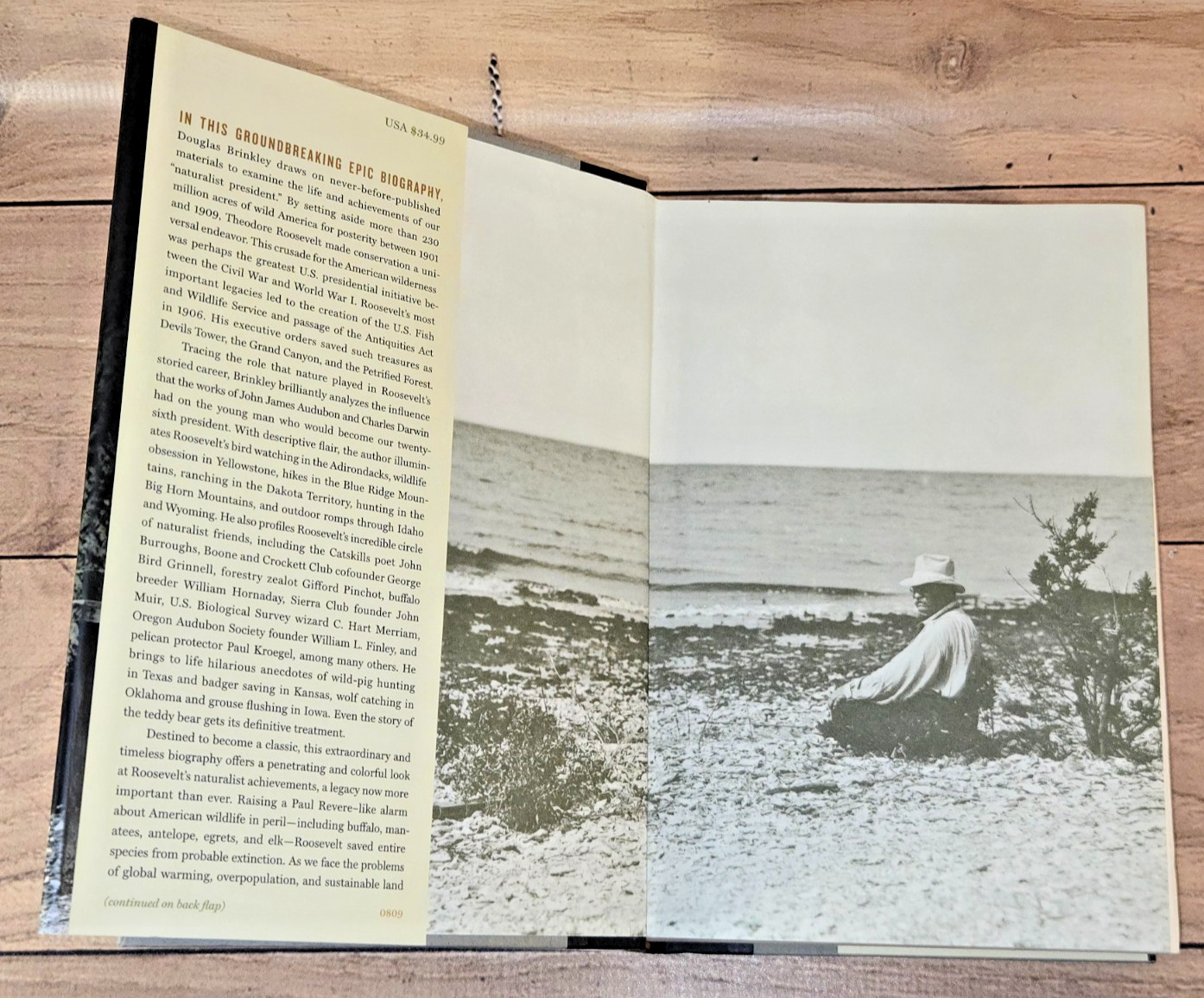 Wilderness Warrior Theodore Roosevelt and the Crusade for America Brinkley