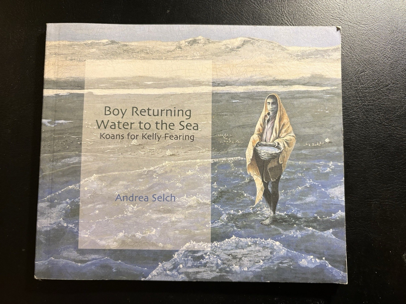 2009 Signed Boy Returning Water to the Sea Andrea Selch Kelly Fearing NC Poetry