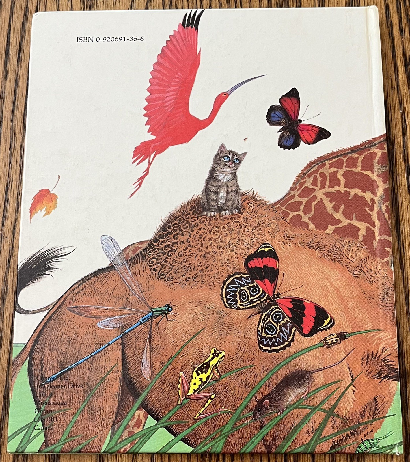 ALL THINGS BRIGHT AND BEAUTIFUL : illus Pauline Baynes : vintage