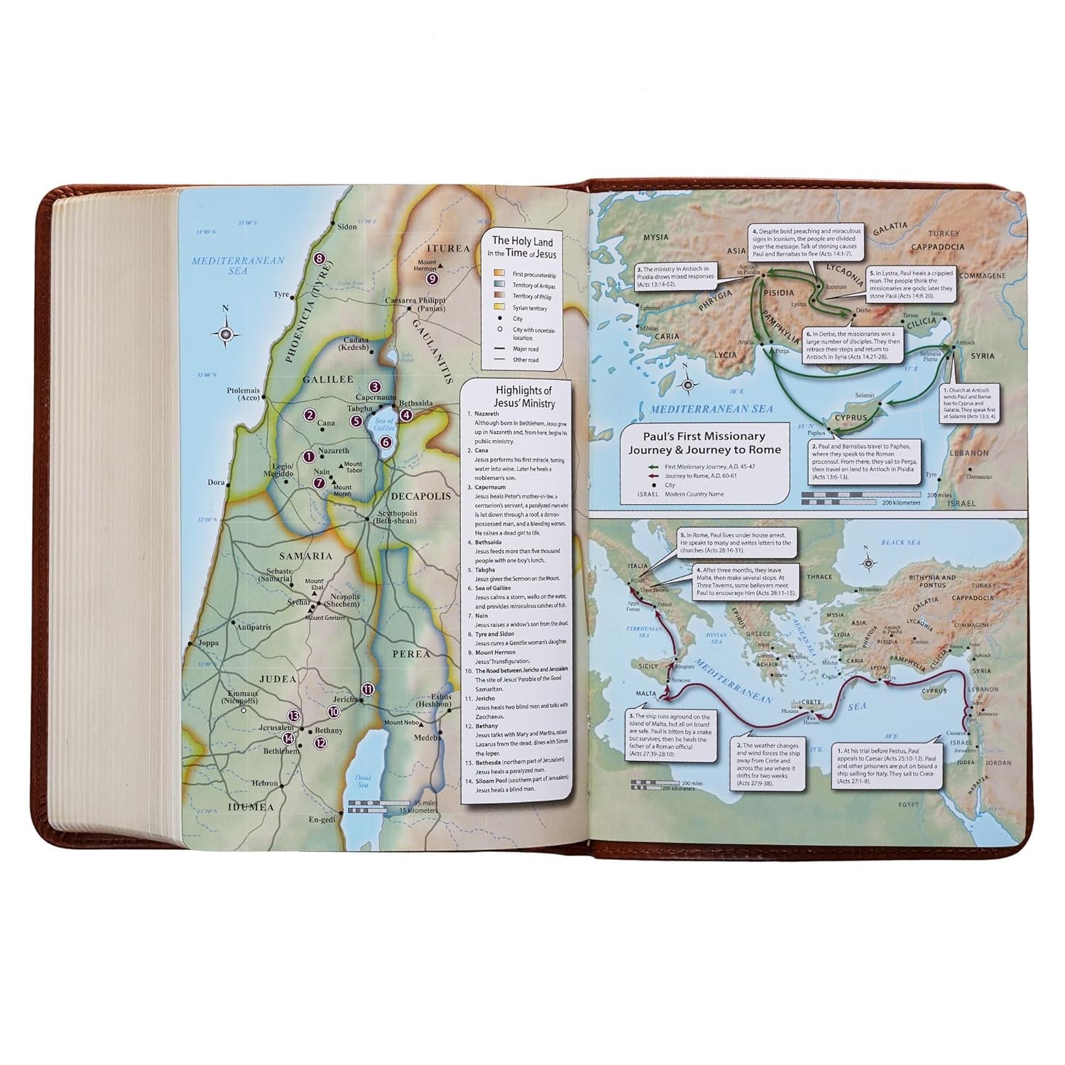 KJV Holy Bible, Compact Large Print Faux Leather Red Letter Edition – Ribbon Mar
