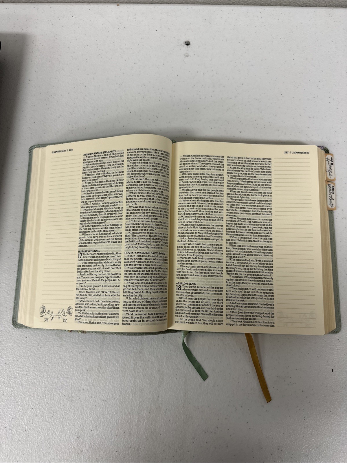 NASB, Artisan Collection Bible, Large Print, Leathersoft, Sage Floral, Red