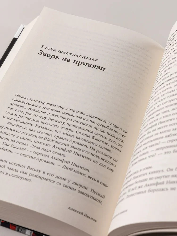 Невьянская башня Иванов Алексей