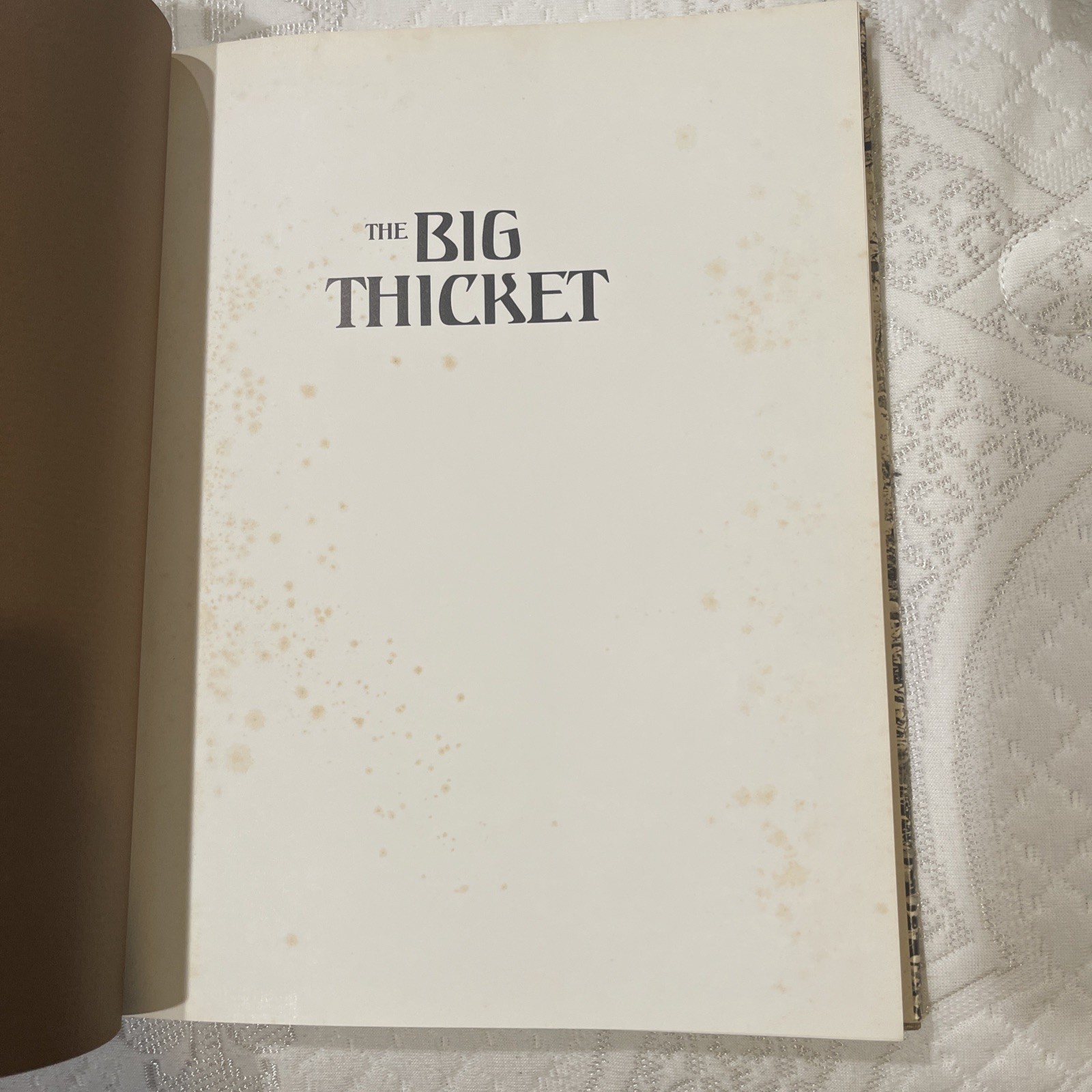 The Big Thicket: A Challenge for Conservation by A. Y. Gunter