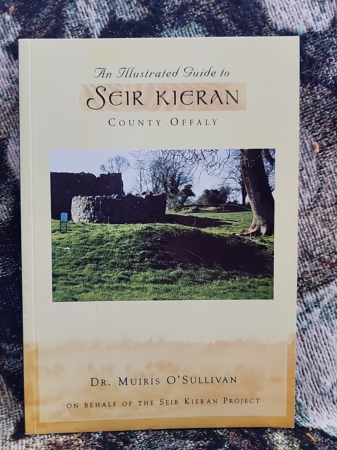 Irish/Celtic Studies Book Lot
