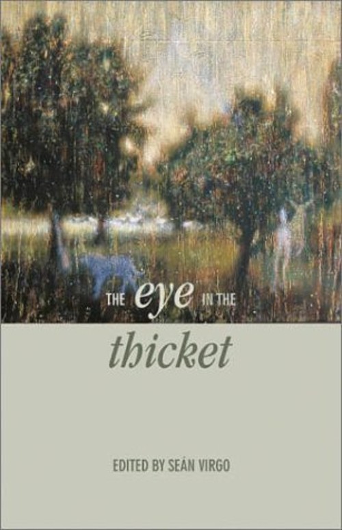 The Eye in the Thicket Paperback