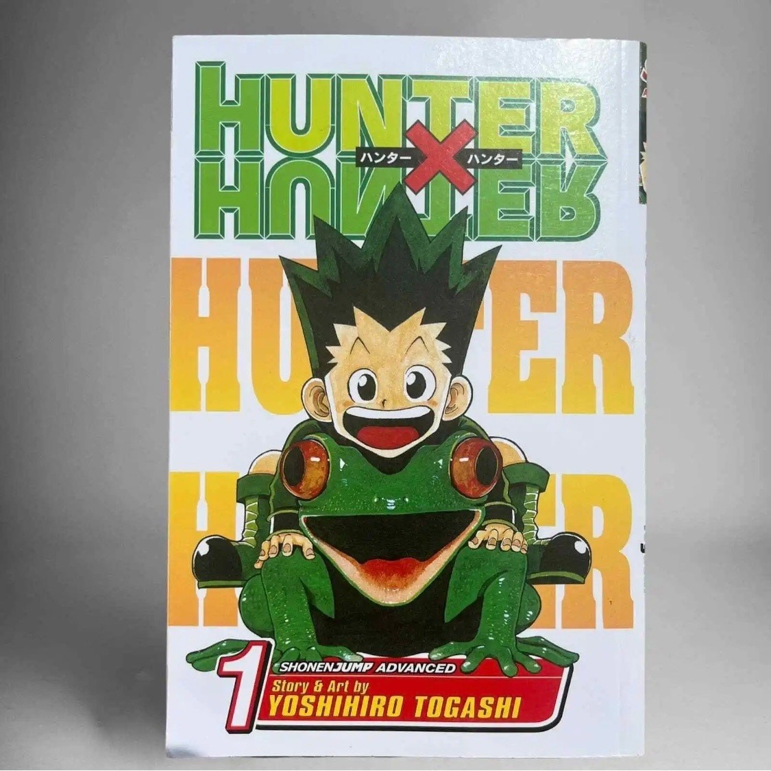 Hunter X Hunter Manga Vol Book 1 English American Coquette Anime Cartoon Comic