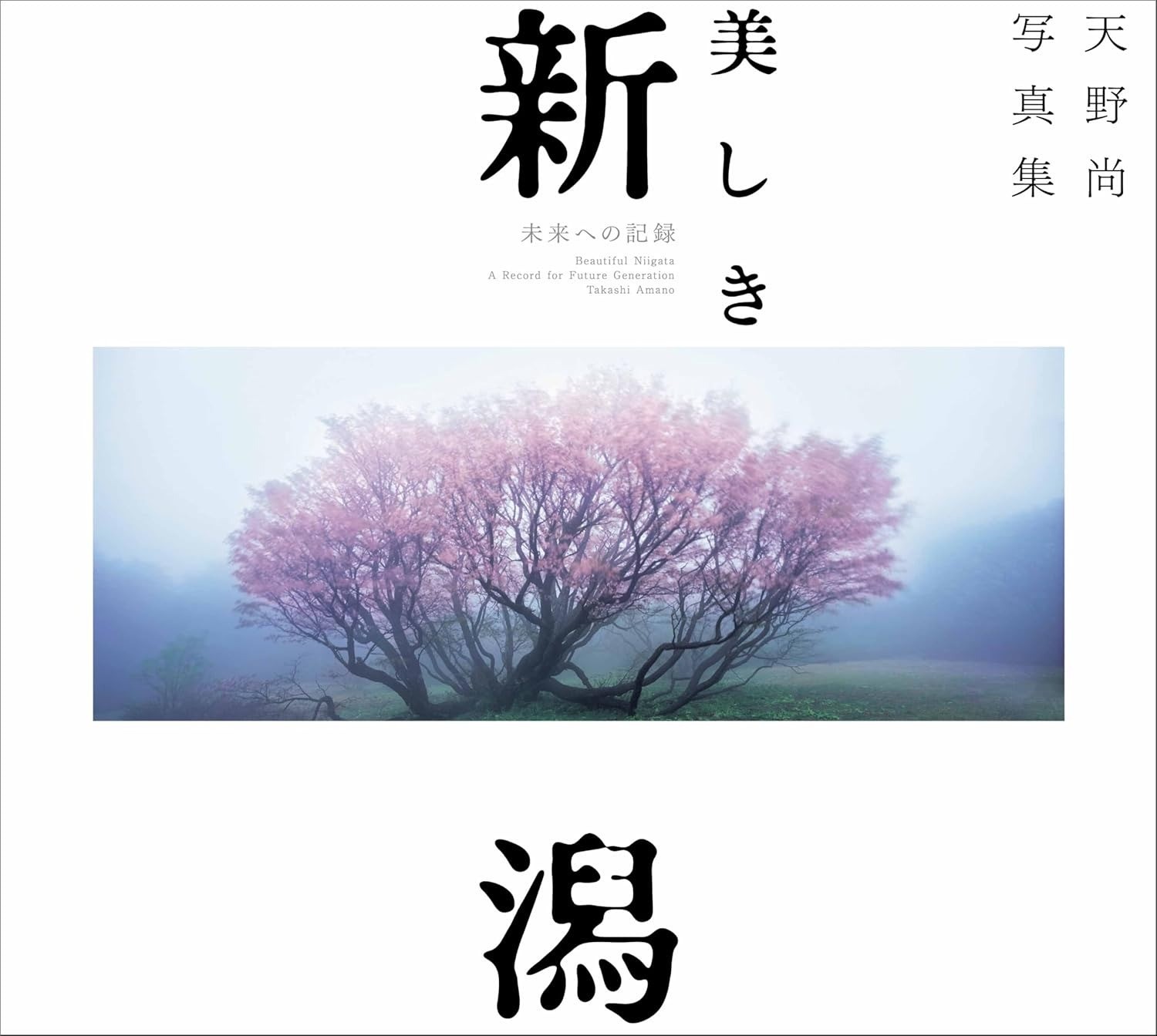 “Beautiful Utsukushiki Niigata” Takashi Amano Photo Book New 255pages from JPN