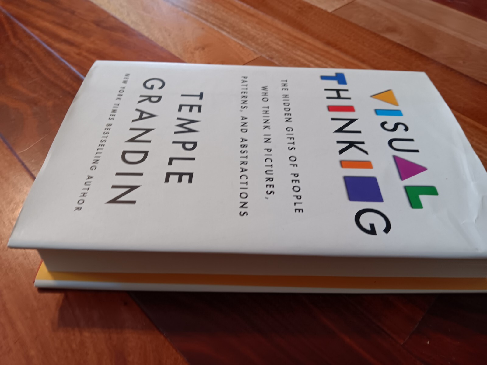 Visual Thinking : The Hidden Gifts of People By Temple Grandin NEW Paperbck 2022