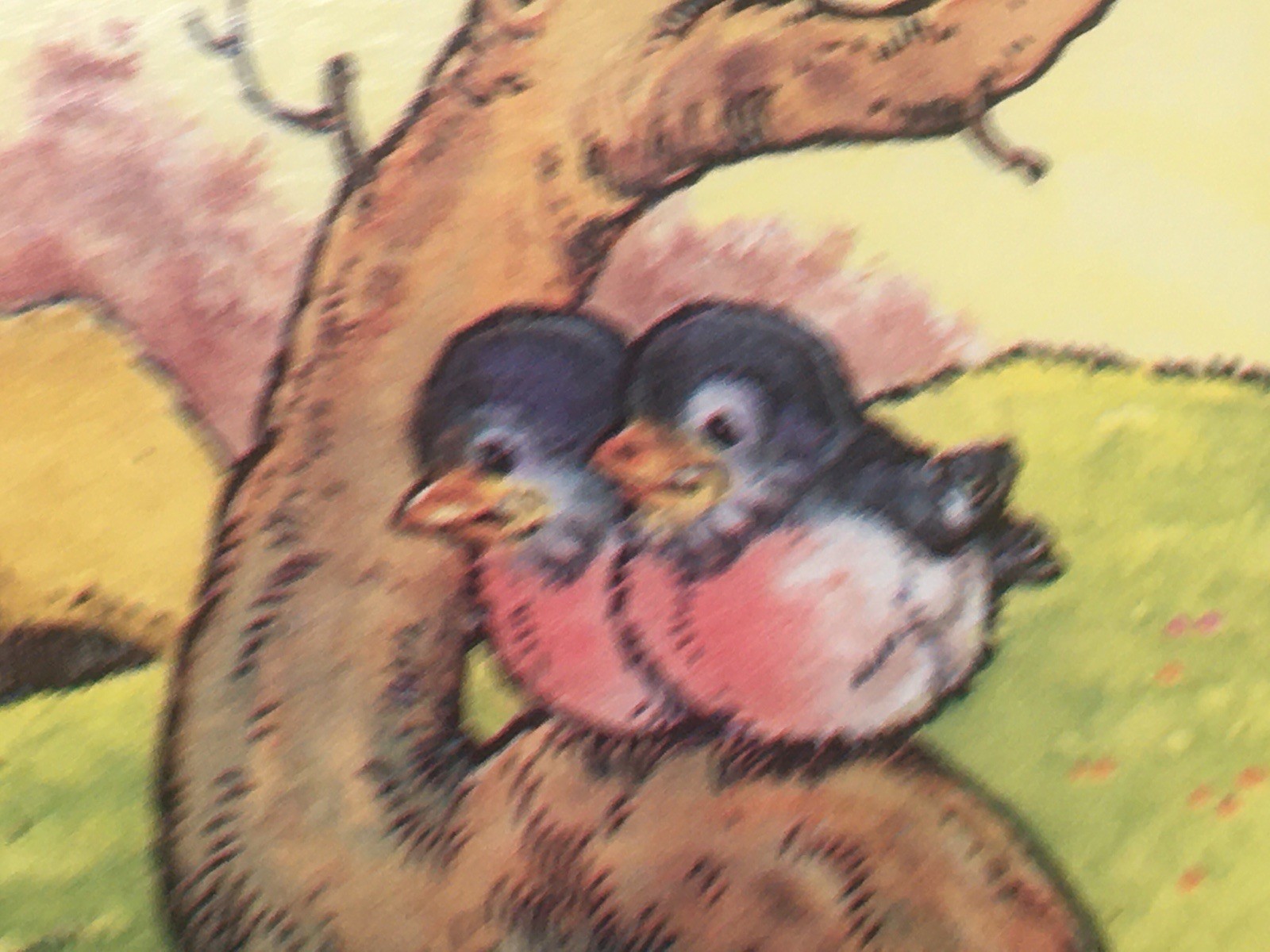 Children’s Characters Fun Fold Out Cardboard Book Colorful Holland 1984 Vintage