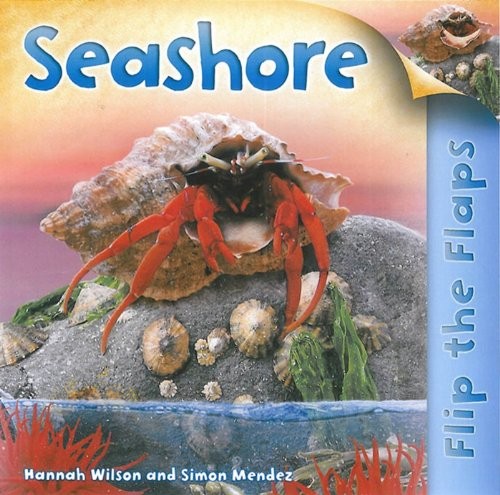 FLIP THE FLAPS: SEASHORE By Hannah Wilson & Simon Mendez – Hardcover *Excellent*