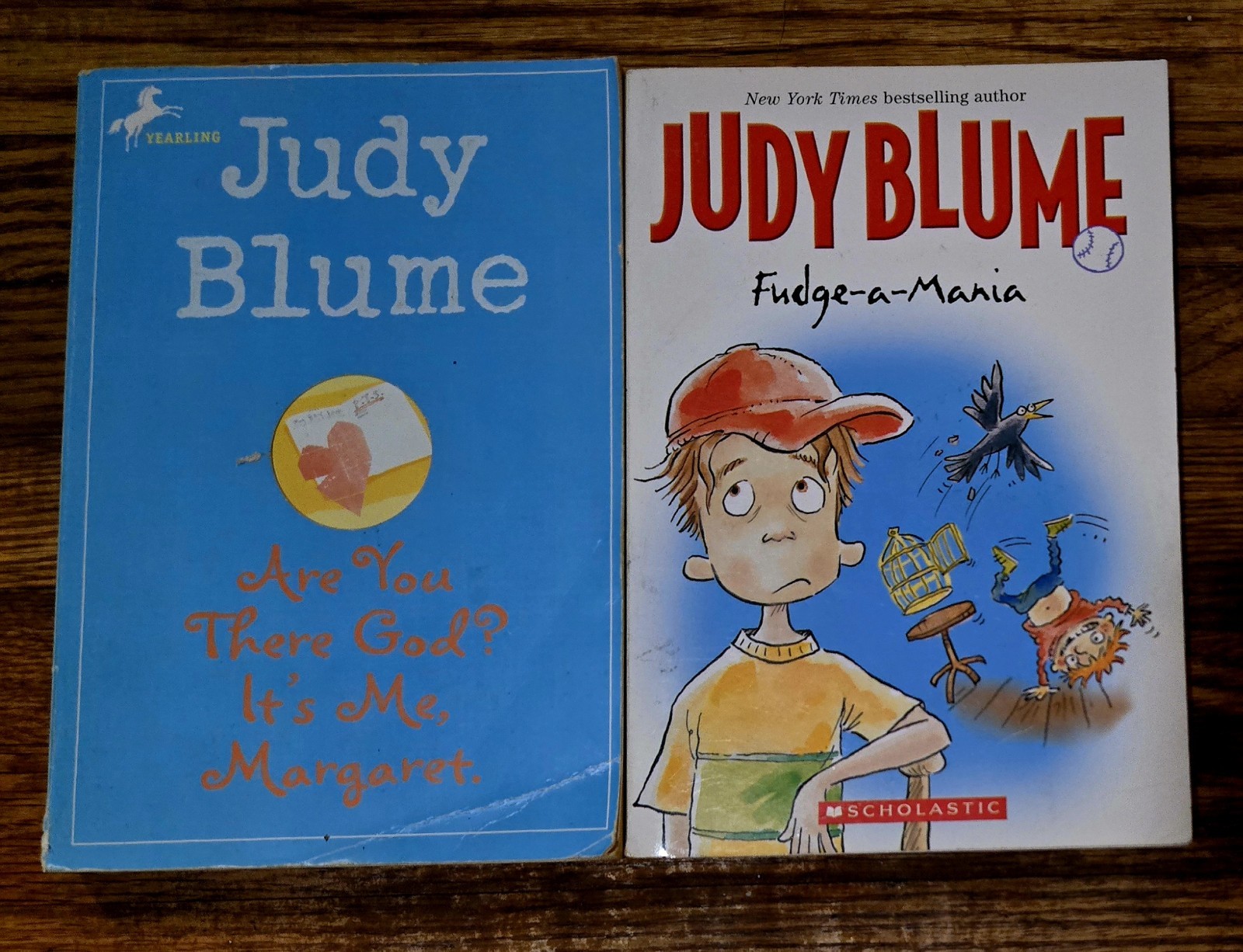 4th 5th Grade 20 Chapter Books Teacher Classroom Library Set Homeschool FB585