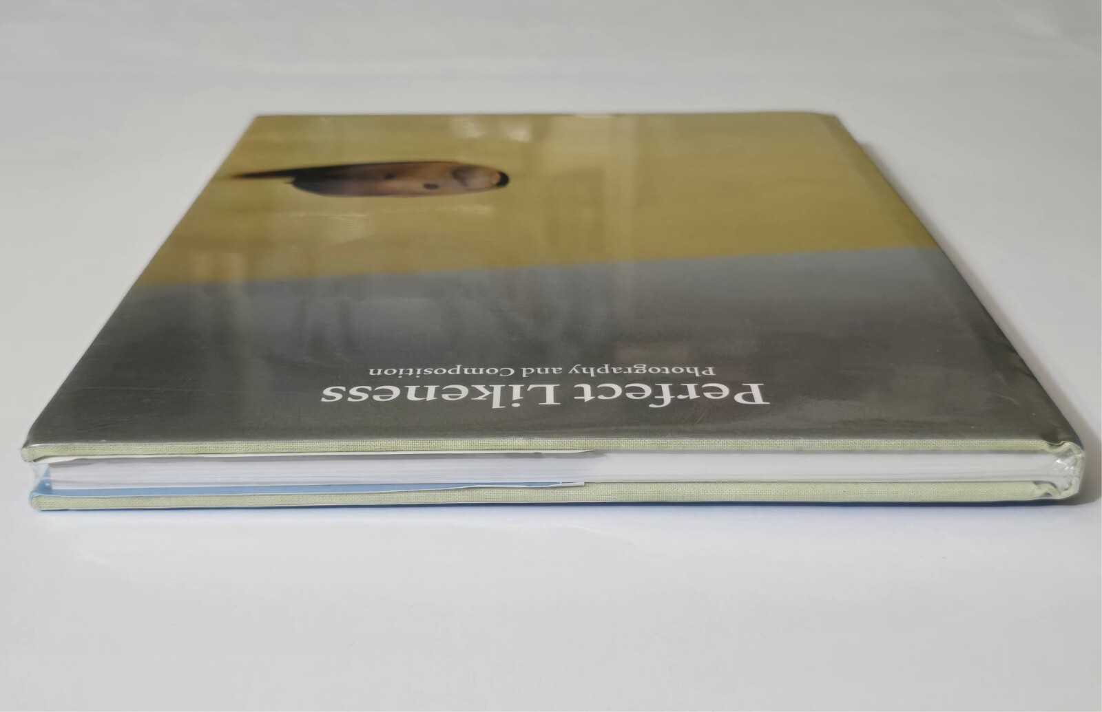 PERFECT LIKENESS SEALED WILLIAM EGGLESTON PHOTOGRAPHY COMPOSITION ART PHOTO BOOK