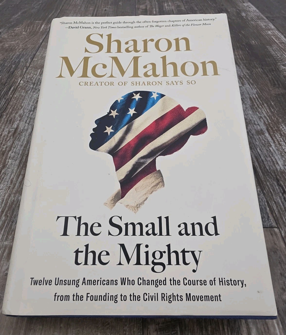 The Small & the Mighty by Sharon McMahon (2024, HC) AMERICAN HISTORY GOVERNMENT