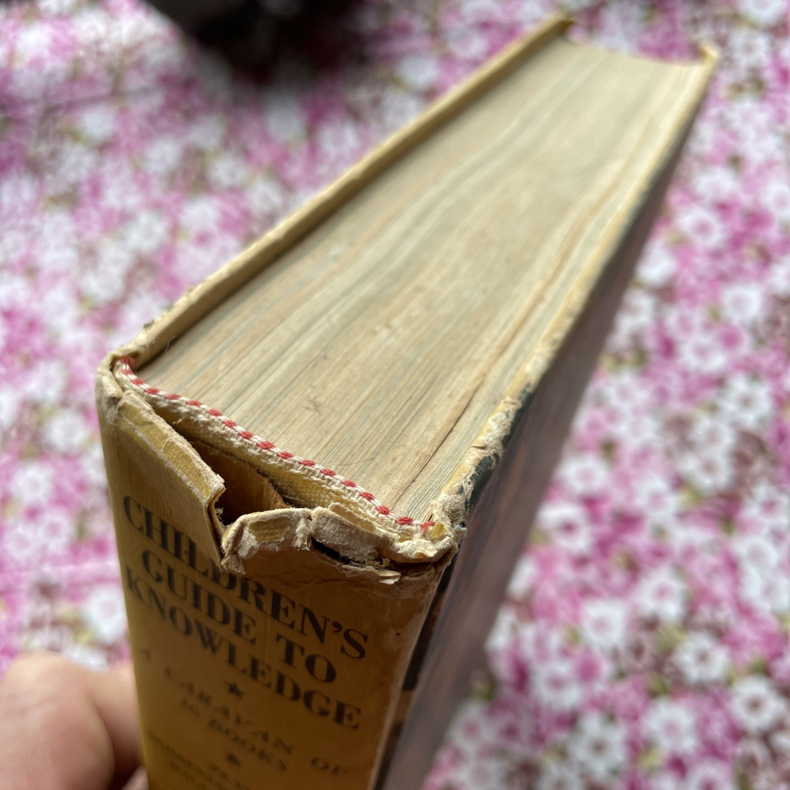 Children’s Guide to Knowledge Parents’ Magazine Press (1974 VTG Illustrated HC)
