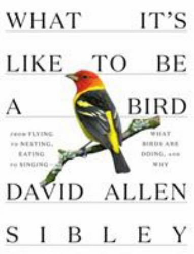 What It’s Like to Be a Bird: From Flying to Nesting, Eating to Singing–What Bi