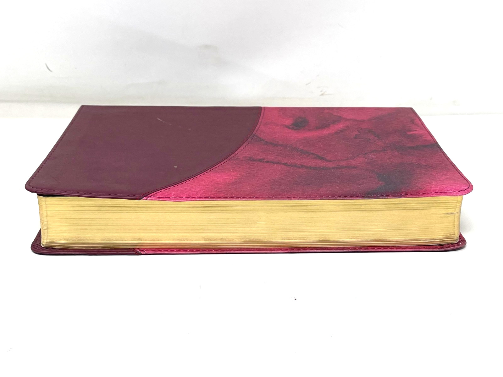 Holman Rainbow Study Bible 2015 NIV Red Watercolor Every Verse Color Code