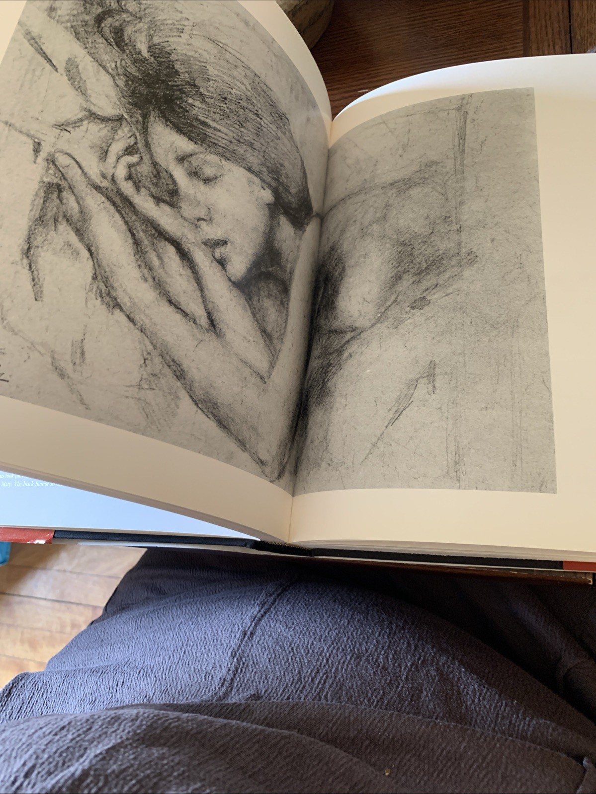 BALTHUS By Claude Roy – Hardcover with Dust Jacket First American printing