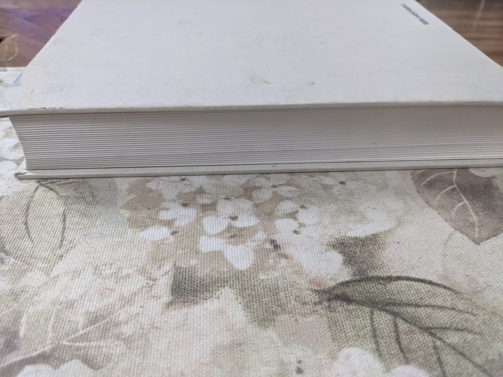 Brain Tumors : A Comprehensive Text Hardcover Morantz
