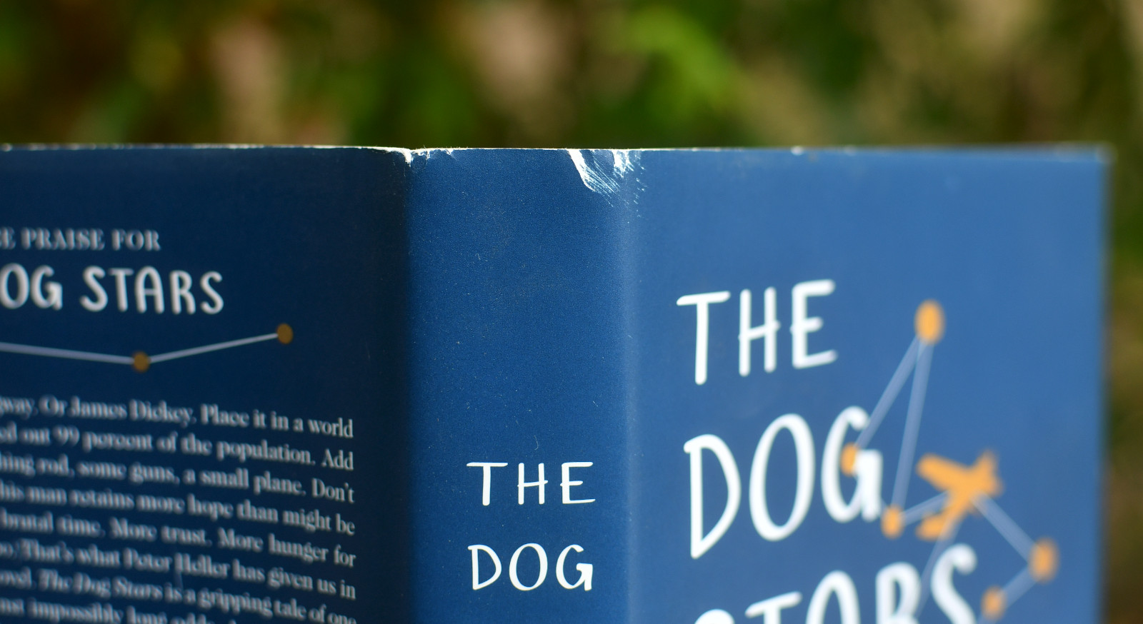 Dog Stars Peter Heller  Hardback: 2012 First Edition Publisher: Borzoi