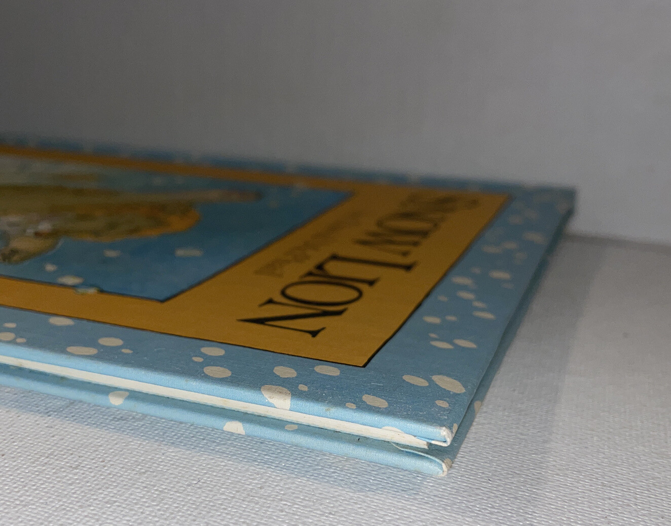 VTG Snow Lion Hardcover David M. McPhail Parents Magazine Press 1982 Read Aloud