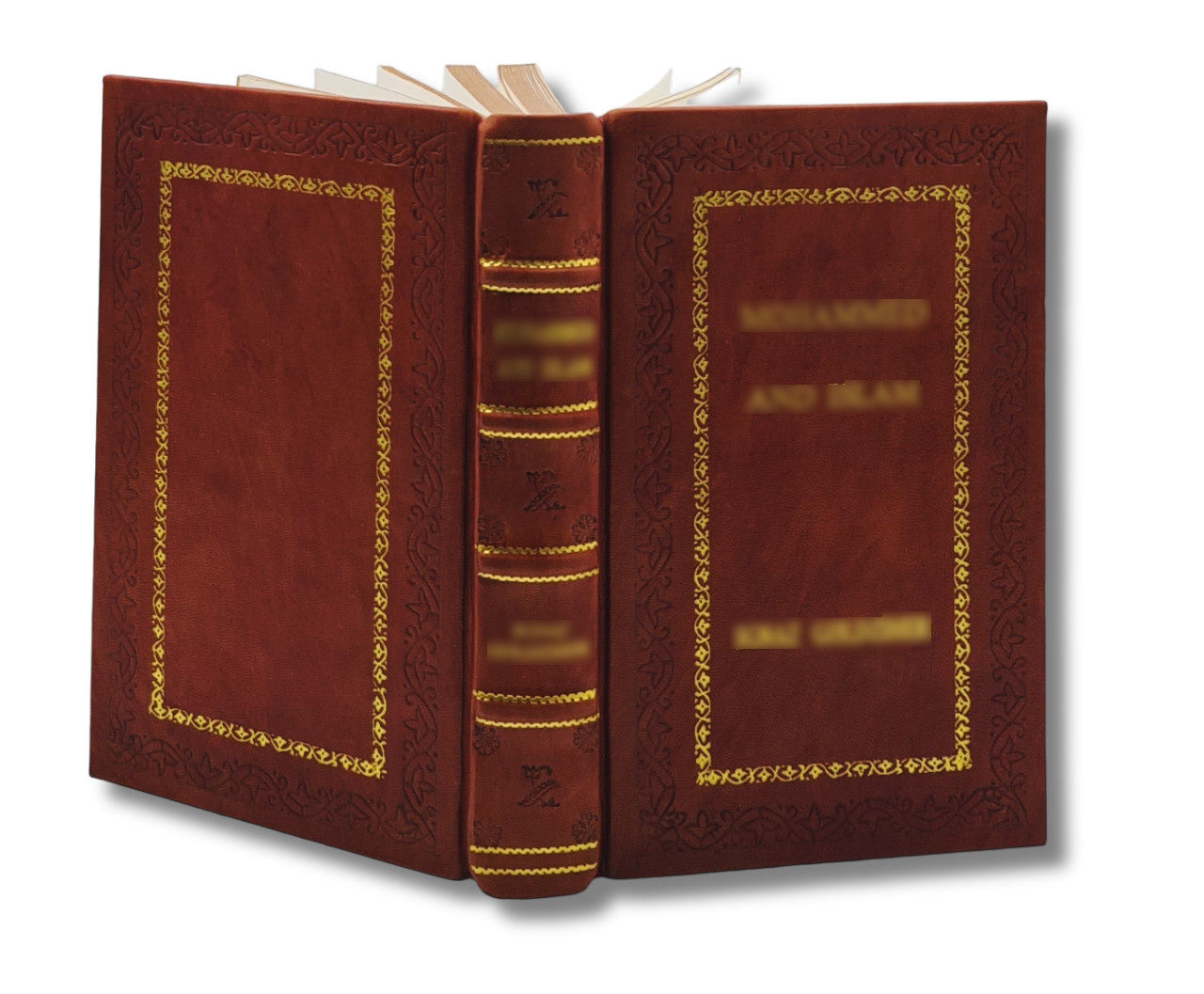 Sand Talk: How Indigenous Thinking Can Save the World [Premium Leather Bound]