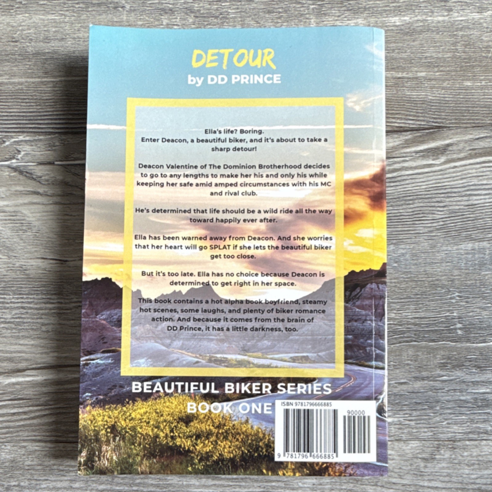 Beautiful Biker Series Detour Paperback Romance Novel DD Prince 2019
