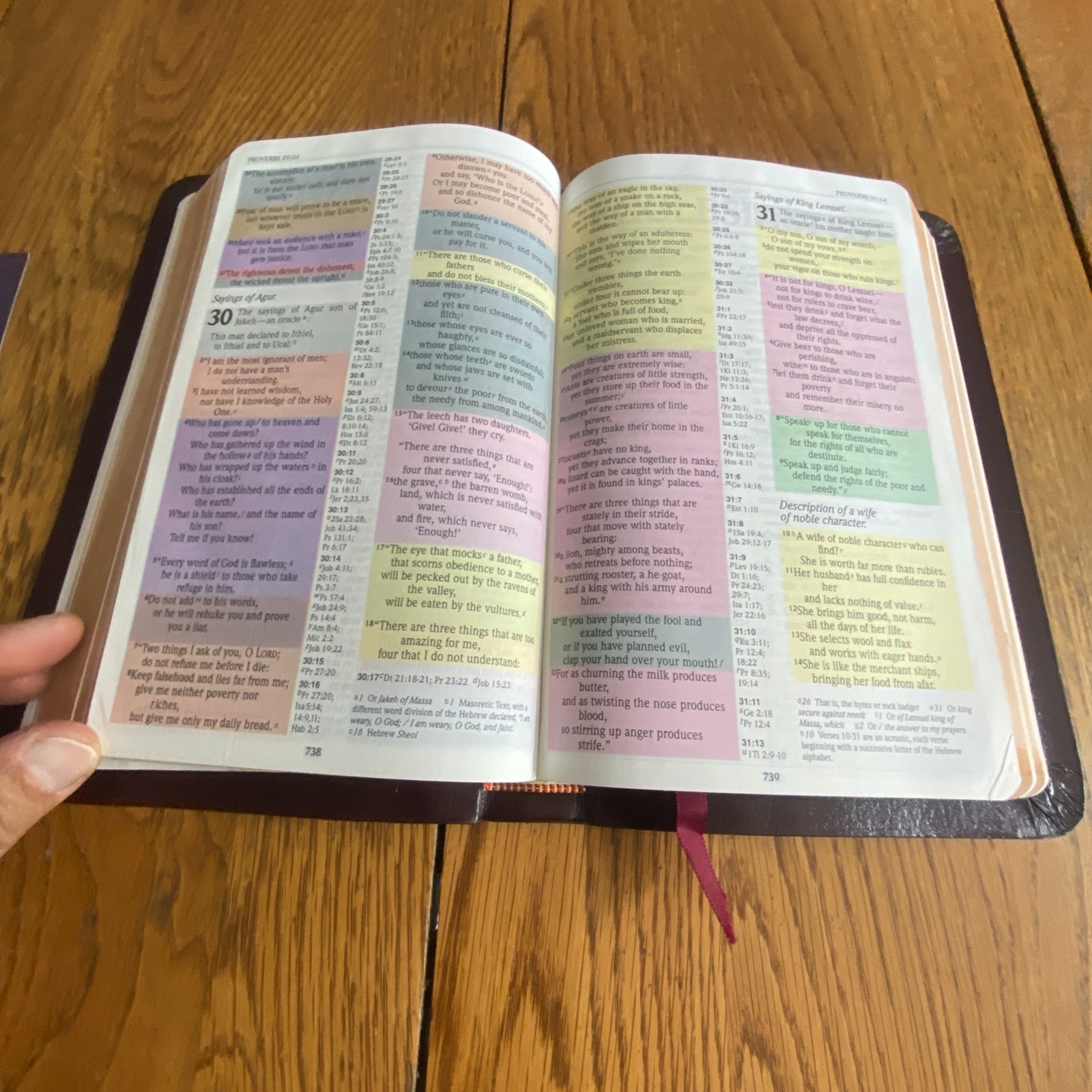 The NIV Rainbow Study Bible Bold Line Edition Burgundy