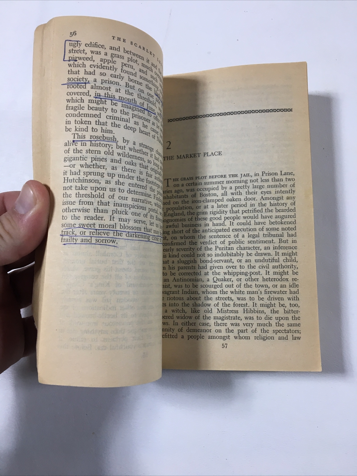 Four Classic American Novels – New American Library (Paperback, 1969)