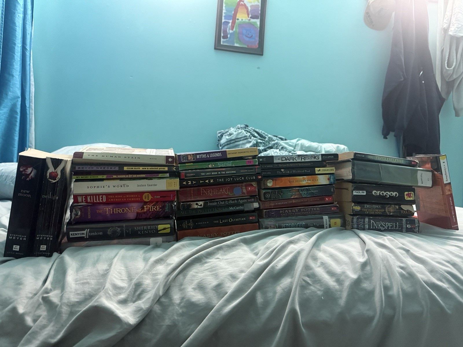 Mixed Fiction Book Lot – Fantasy & Young Adult, English, Mixed Format