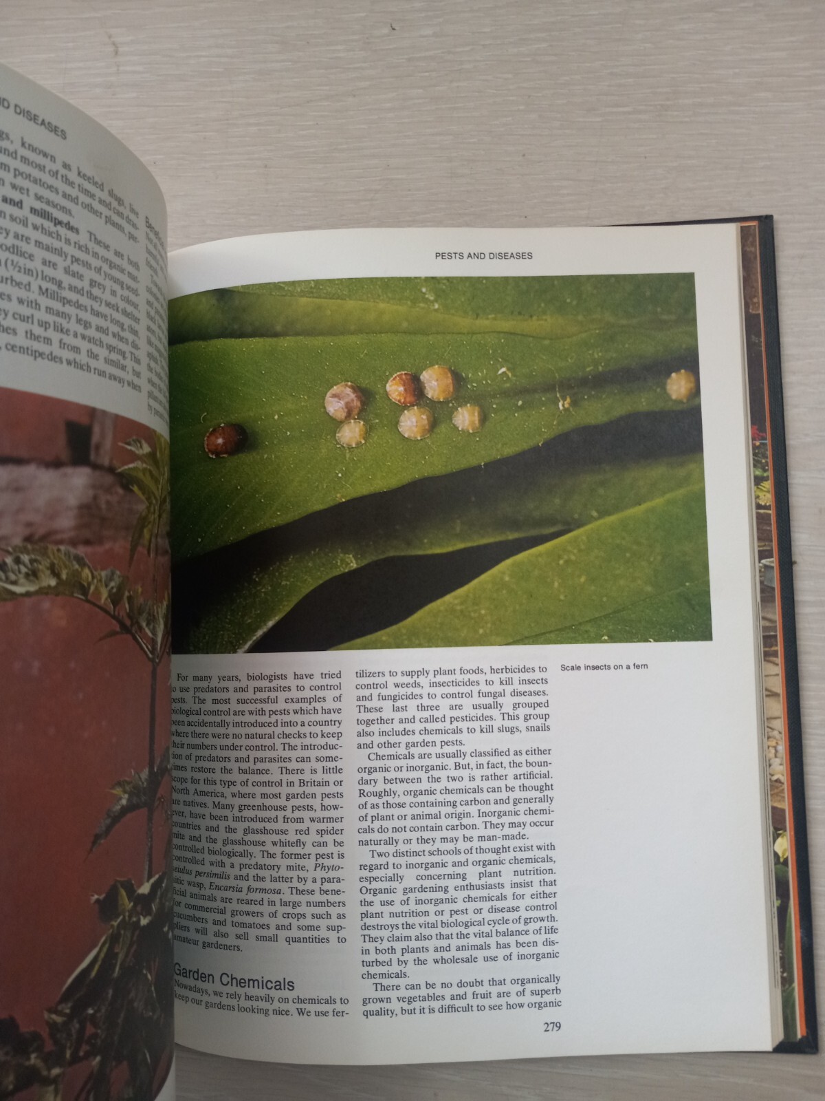 Practical Gardening Encyclopedia by Roy Hay – 1977 Hardcover