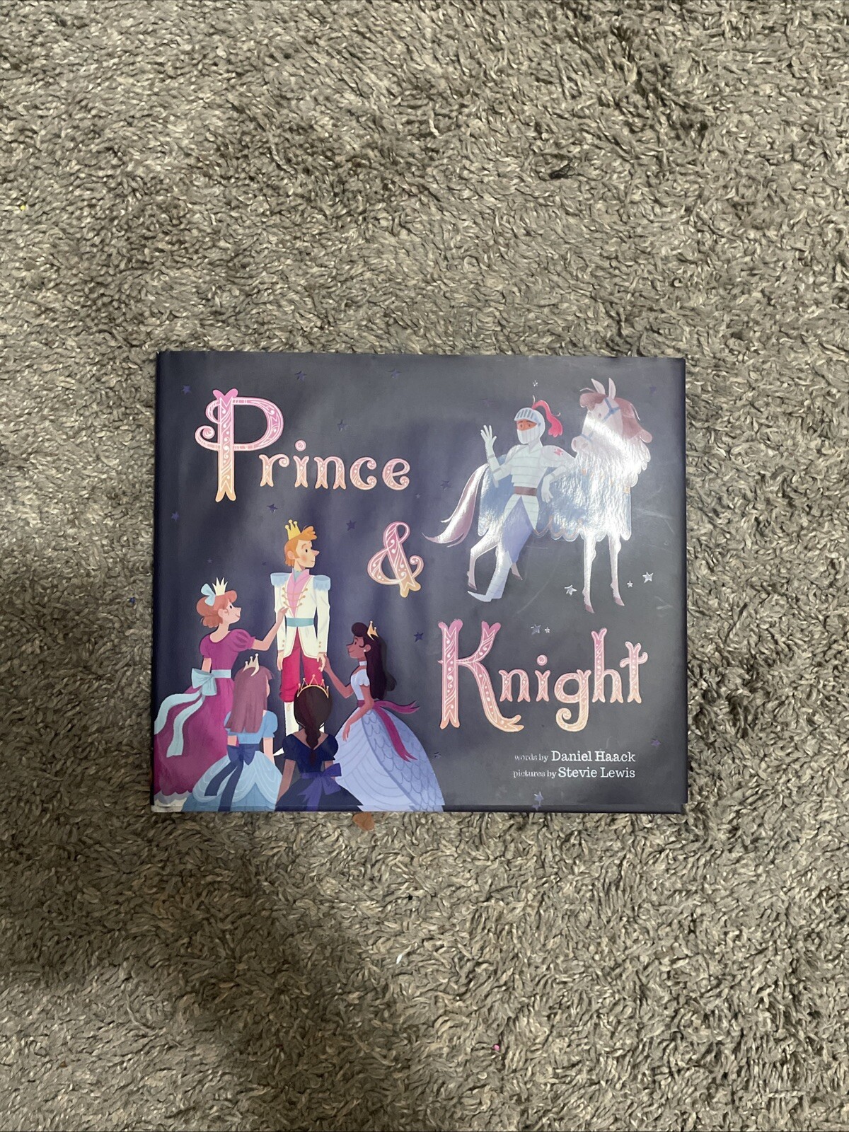Prince and Knight by Daniel Haack (Hardcover)