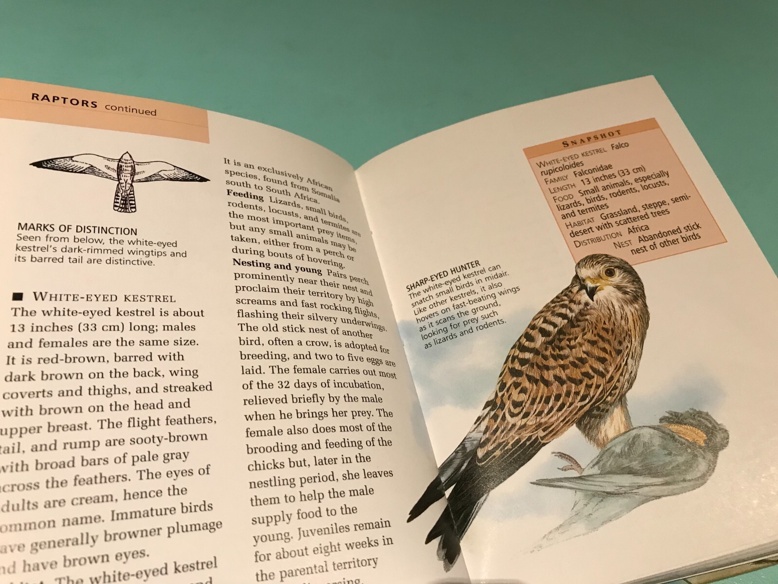Home Reference Library Birds Consultant Editor Joseph M. Forshaw
