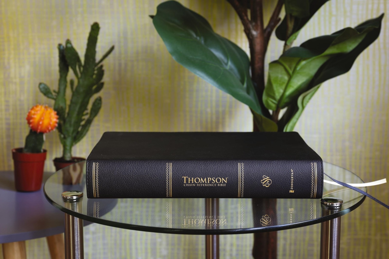 ESV, Thompson Chain-Reference Bible, Large Print, Leathersoft, Black, Red Let…