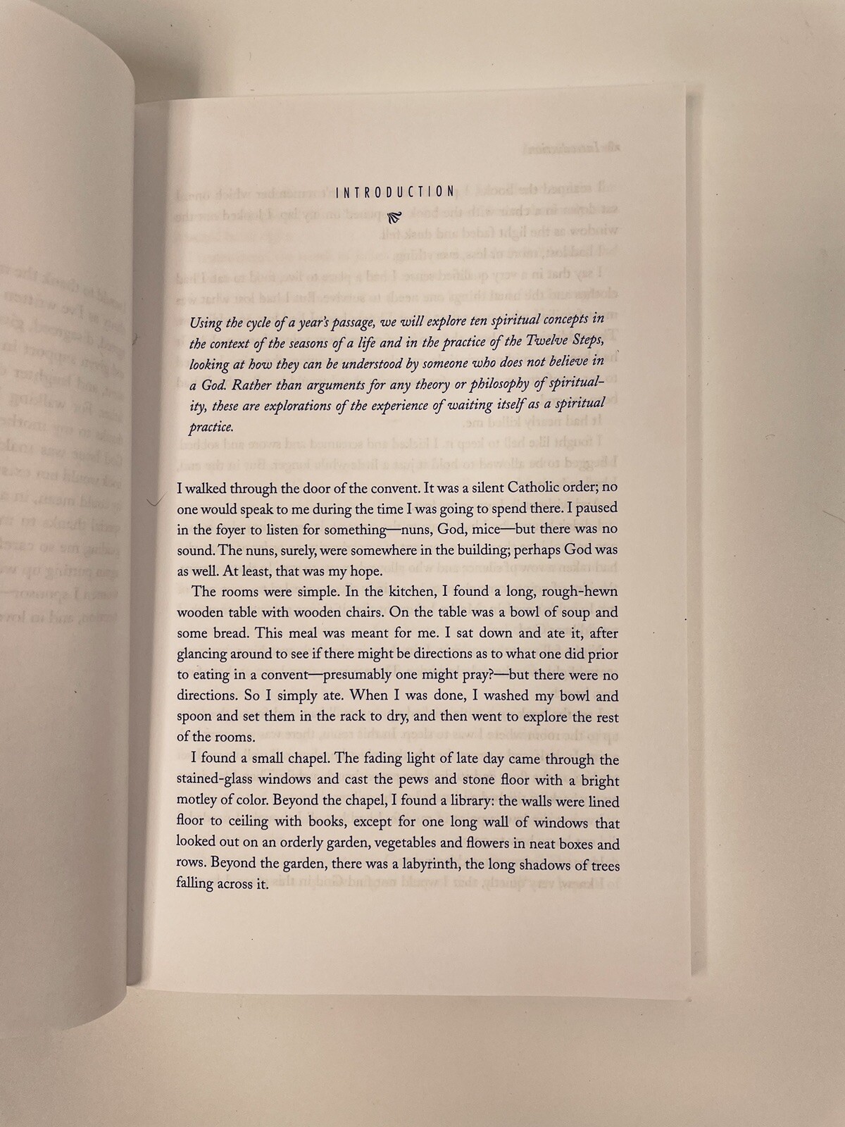 Waiting: A Nonbeliever’s Higher Power/ Marya Hornbacher/ 12 Step Recover