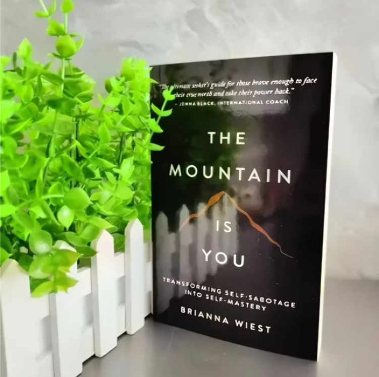 THE MOUNTAIN IS YOU BY BRIANNA WIEST PAPERBACK FREE SHIPPING
