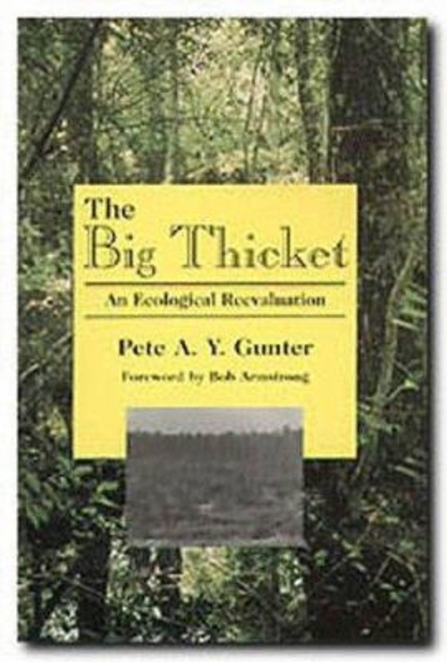 The Big Thicket : An Ecological Reevaluation Paperback Pete A. Y.