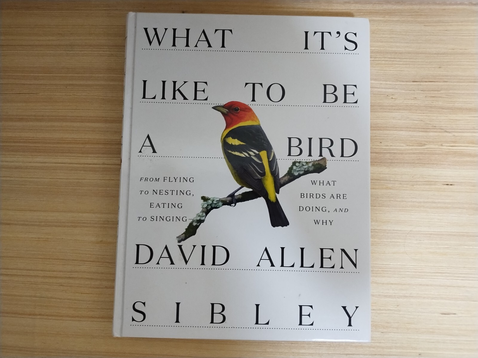 What It’s Like To Be a Bird By David Allen Sibley