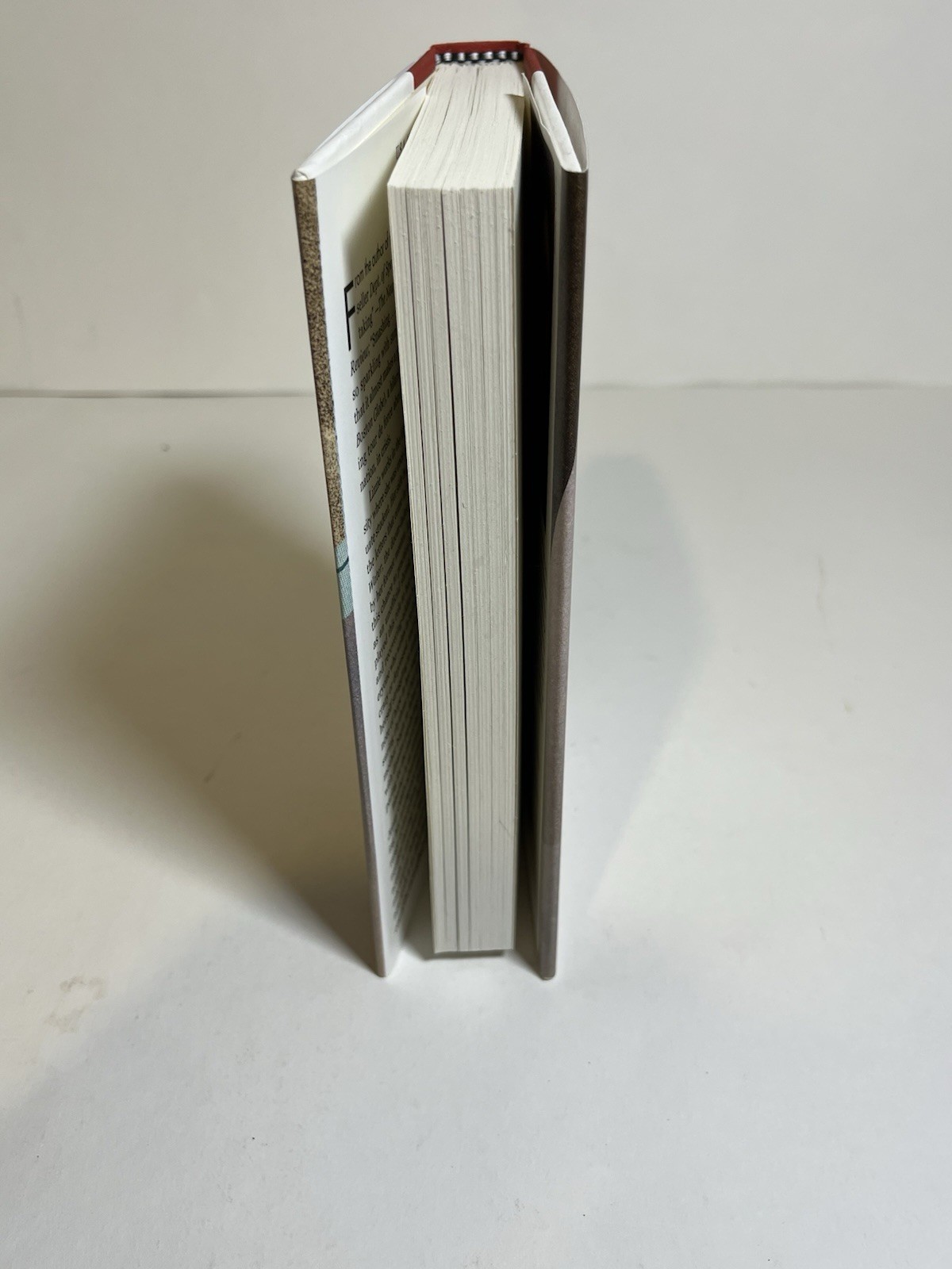 Weather: A Novel By Jenny Offill HC New 2020