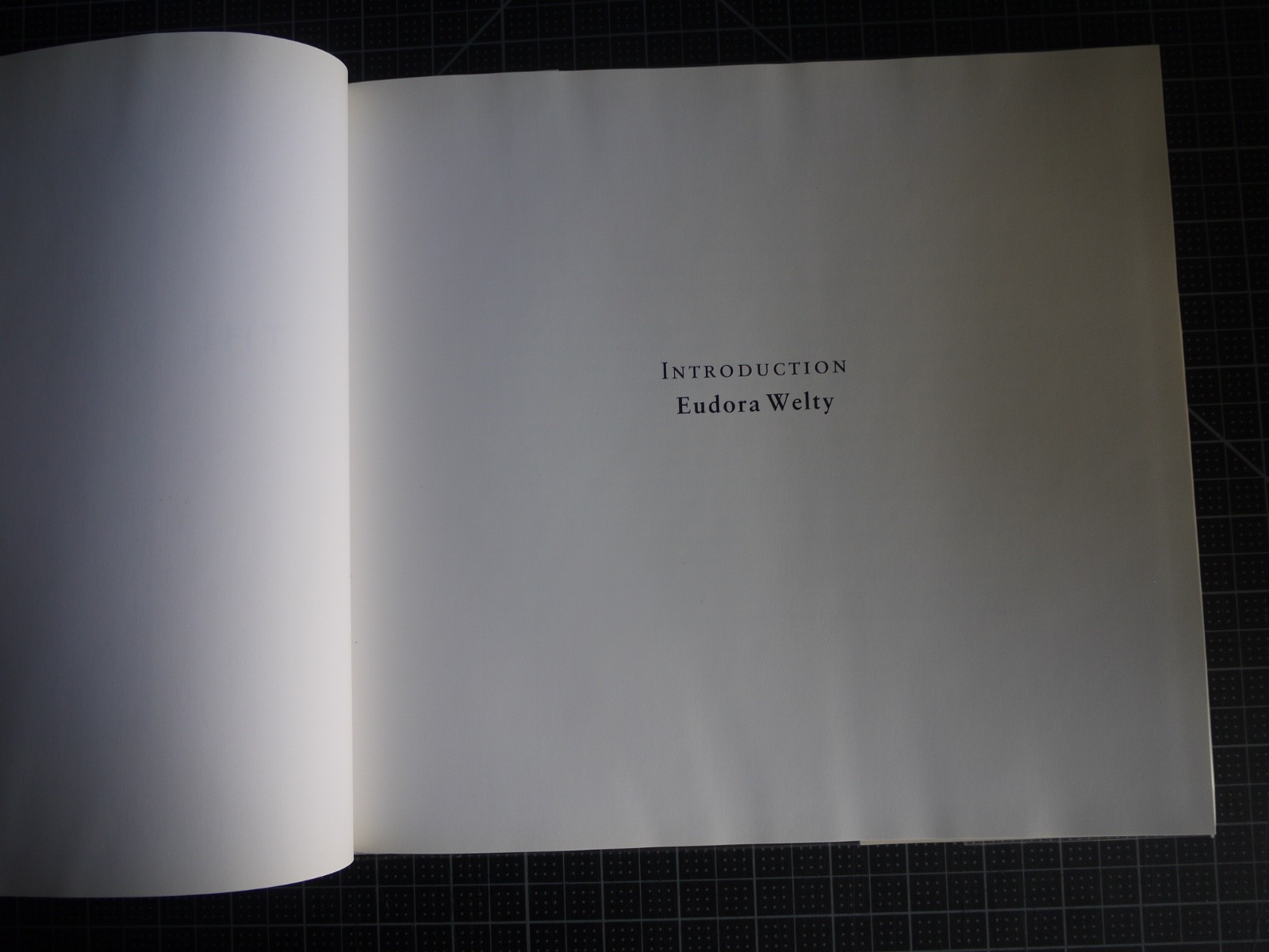 Democratic Forest by William Eggleston (1989 1st Edition/1st Printing Hardcover)