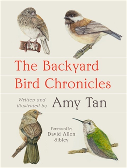 The Backyard Bird Chronicles (Bookbook – Detail Unspecified)