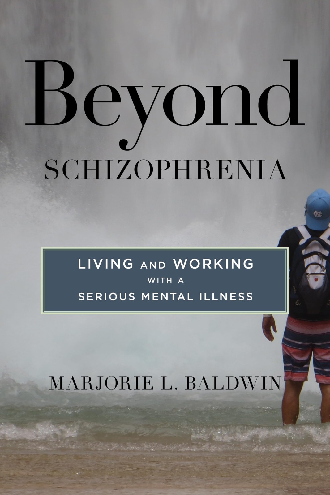 Beyond Schizophrenia: Living and Working with a Serious Mental Illness – har…